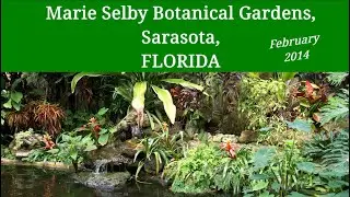 Florida Sarasota Marie Selby Botanical Gardens 2014