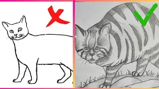 Realistic Cat Drawing Step by Step With Pencil Shade HD and Relaxing sound #catdrawing #drawing
