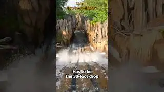 Водный аттракцион Kali River Rapids: захватывающий аттракцион на речных порогах в Диснейленде (Во...