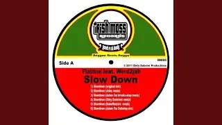 Slow Down (Adam Faz Dubstep Remix) (feat. Werd2jah)