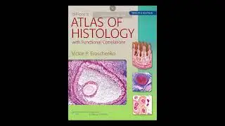 These 5 books changed how I study anatomy #medschool #anatomy #study
