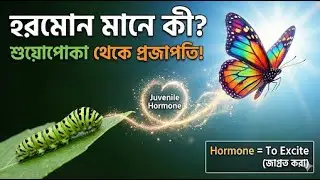 হরমোন  শরীরের গোপন বার্তাবাহক | Hormone Introduction | MSH & Melanin Function | Class 10