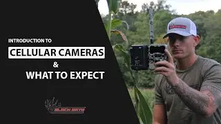 An Introduction to Black Gate Hunting Cellular Trail Cameras and What to Expect