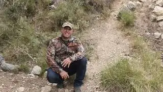 Consejos para realizar las esperas de jabalí.