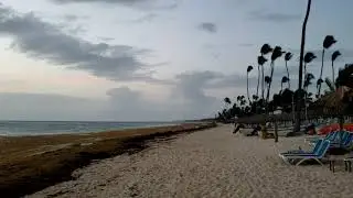 Punta Cana Seaweed July 31, 2021