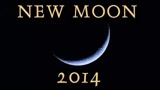 New Moon Horoscope for 2014