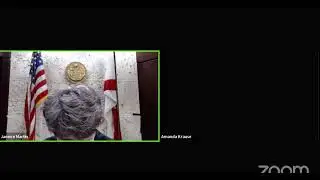 Judge Martin Drug Court, Violation of Probation Hearings and Plea's 5 13 2021