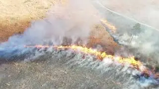 Mavic Air 2 Drone: Controlled Burn of a Fire Climax Ecosystem in South Carolina - Healthy Fire