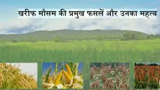 फसलों की जानकारी @@