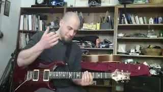 Guitar Rant#1 Fretboards Should Be Flat, Not Curved!!!
