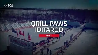 Iditarod Highlight | DAY 1 | QRILLPAWS 2021
