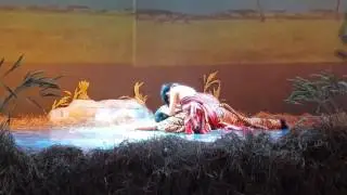 The Lion King - The Stampede