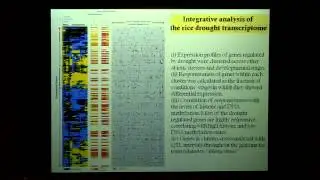 Systems level analysis of drought stress response interactions with growth and yield