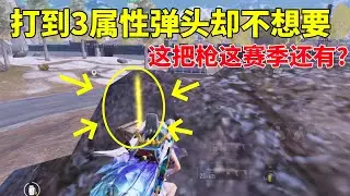 这把枪3弹头属性我都不要想？感觉手枪都比他厉害，这赛季第一次见