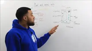 Cell Biology - Animal and Plant Cells (TuitionKit)