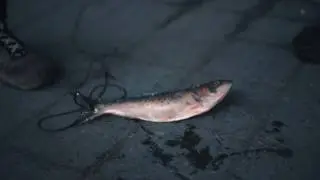 Fishing the East River NYC [Ep.1 - King of Tying Knots]