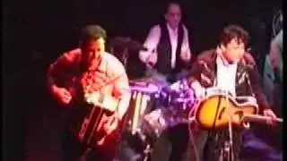 Joe Ely