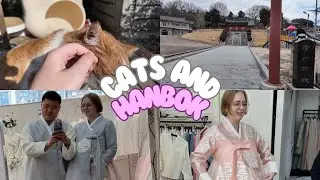 Cats, and searching for our wedding hanbok!