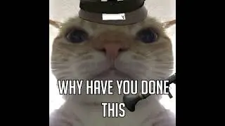 POV: You Dropped Uber as Medic (TF2)