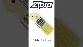 Zibra Palms 06132025