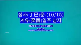 Jeongsa (丁巳) fortune - Gyeyu Ilju man