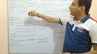 Anti- Asthmatic Drugs Part-5 Corticosteroids