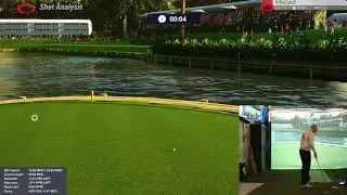 Sawgrass #17