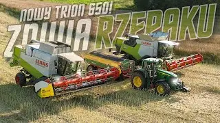✩ 🇵🇱 NOWY TRION 650! ✩ ŻNIWA RZEPAKU 2024 u @sylweksz141 🔥✩ 2X CLAAS & JOHNDEERE ✩ GR SZYMANIK ✩🇵🇱