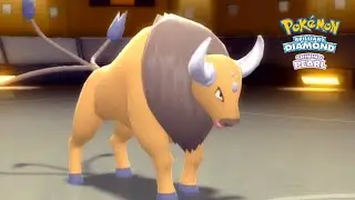SHEER FORCE TAUROS IS GOOD! Pokemon Brilliant Diamond & Shining Pearl Wi-Fi Battle!