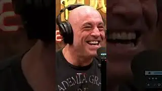 Joe Rogan's HARDEST Laugh Reacting to Cat vs Gender