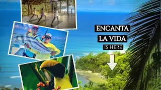 NYT 2026 Top Pick: Osa Peninsula's Best Beachfront Luxury Resort