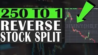 Reverse Stock Split