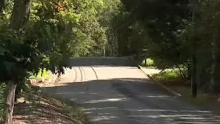 Coyote euthanized after 2 people attacked while walking dogs in NJ