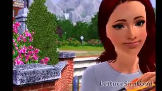 Sims 3 Short Film: Hamburger