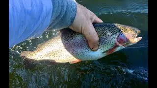 Chasing Rainbows at Quabbin/Catch, Clean, Cook/May 11, 2025