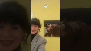 Exposici&oacute;n individual 
