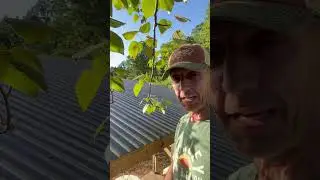 Corrugated foam polycarbonate roofing installation!