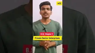 Private Sector Enterprise | Class 11 Business Studies Chapter 2 | #shorts #youtubeshorts