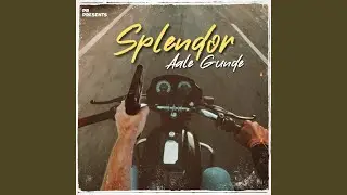 Splendor Aale Gunde