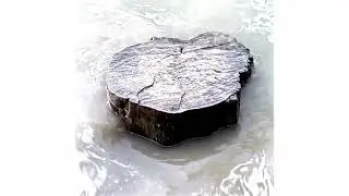 EXP001