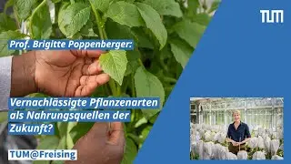 TUM@Freising: Vernachl&auml;ssigte Pflanzenarten als Nahrungsquellen der Zukunft?