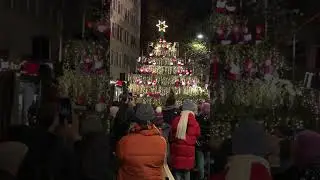 Z&uuml;rich, Swiss🇨🇭Singing Tree #zurich #swiss #singing