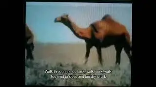 The Camel Boy Theme (walk, walk, walk)