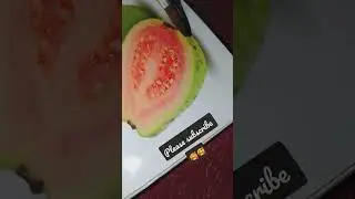 Guava painting 🥰😊