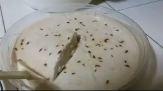 How to make: SAPIN SAPIN NG NUEVA ECIJA