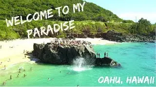 Waimea Bay Beach | Oahu, HI Family Vlog