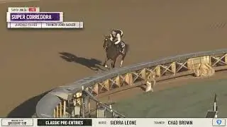 SUPER CORREDORA Works at Santa Anita October 24