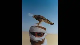 [FREE] Karim Osama X Trap Sha3by Type Beat - 2025 - “هنا القاهره