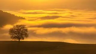 Golden Clouds, Music for Stress, Depression | Clearing Mind Problems