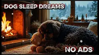 12 Hours of Relaxing Music for Dog🐾 Dog Calming Music ✨Soft Piano🎵 Peaceful Dog Sleep 🎧 No Ads